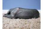 Laying Dog