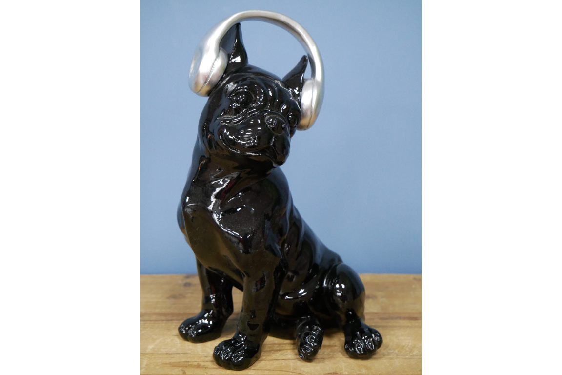Dog With Headphones