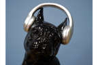 Dog With Headphones