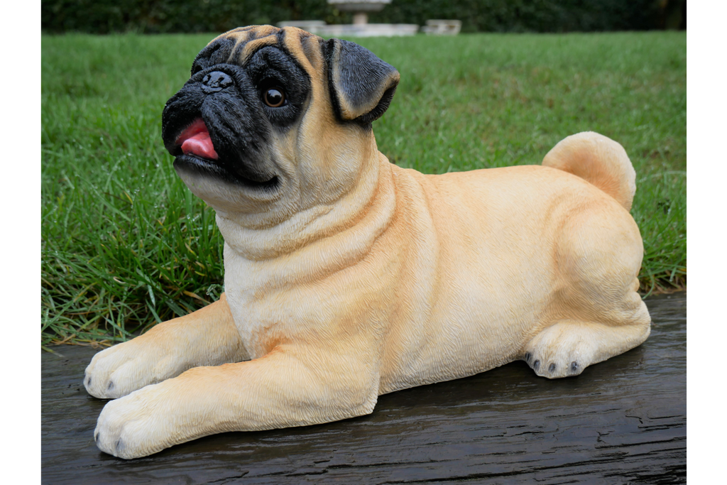 Laying Dog