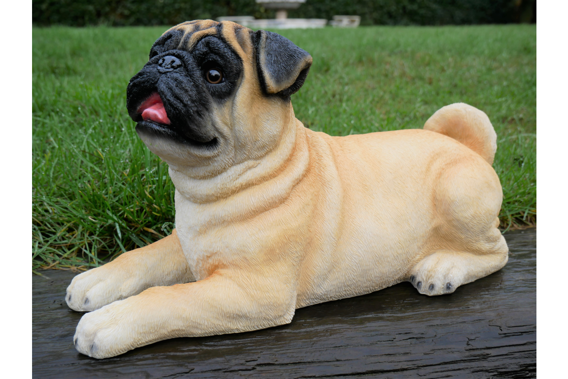 Laying Dog