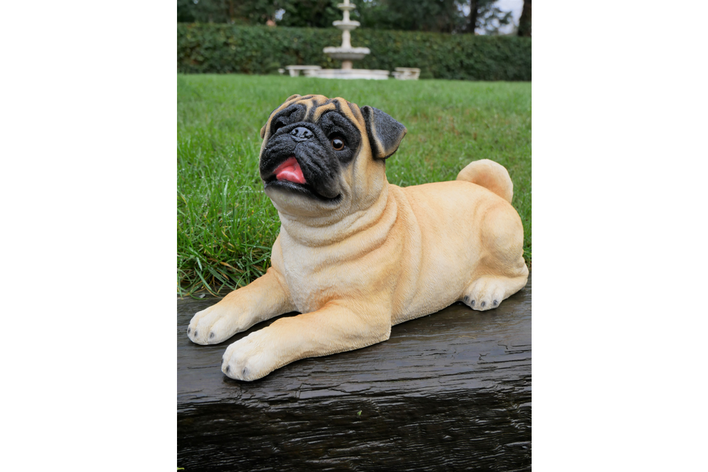 Laying Dog