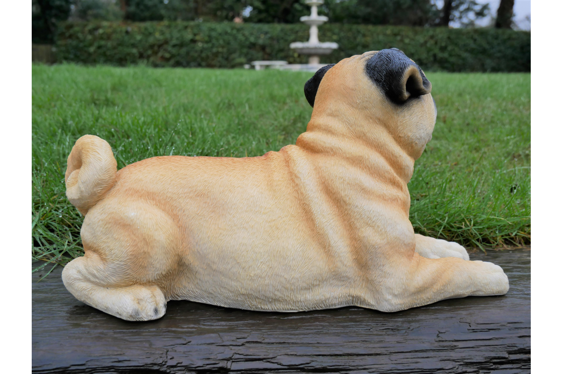 Laying Dog