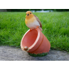 Bird Feeder