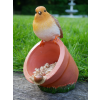 Bird Feeder