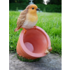 Bird Feeder