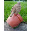 Bird Feeder