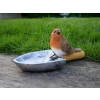 Bird Feeder
