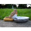 Bird Feeder