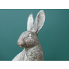 Silver Hare - Small