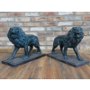 Pair Of Lions
