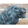 Pair Of Lions