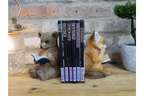 Bear & Fox Bookends