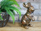 Steampunk Rabbit