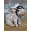 Flying Pig