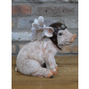 Flying Pig