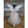 Flying Pig