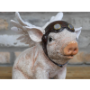 Flying Pig