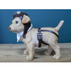 Pilot Dog