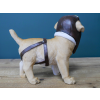 Pilot Dog