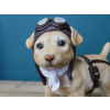 Pilot Dog