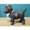 Pilot Dog
