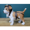 Pilot Dog