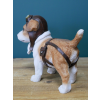 Pilot Dog