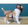 Pilot Dog