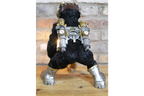 Steampunk Monkey Light