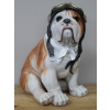 Large Pilot Dog