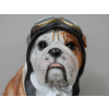 Large Pilot Dog