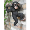 Monkey Hanging On A Branch