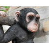 Monkey Hanging On A Branch