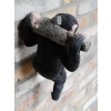 Monkey Hanging On A Branch