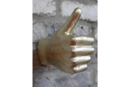Hand Wall Decoration