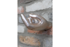 Hand Wall Decoration