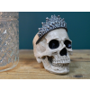Skull Decoration