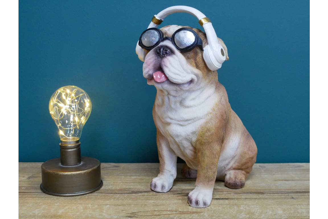 Dog With Headphones
