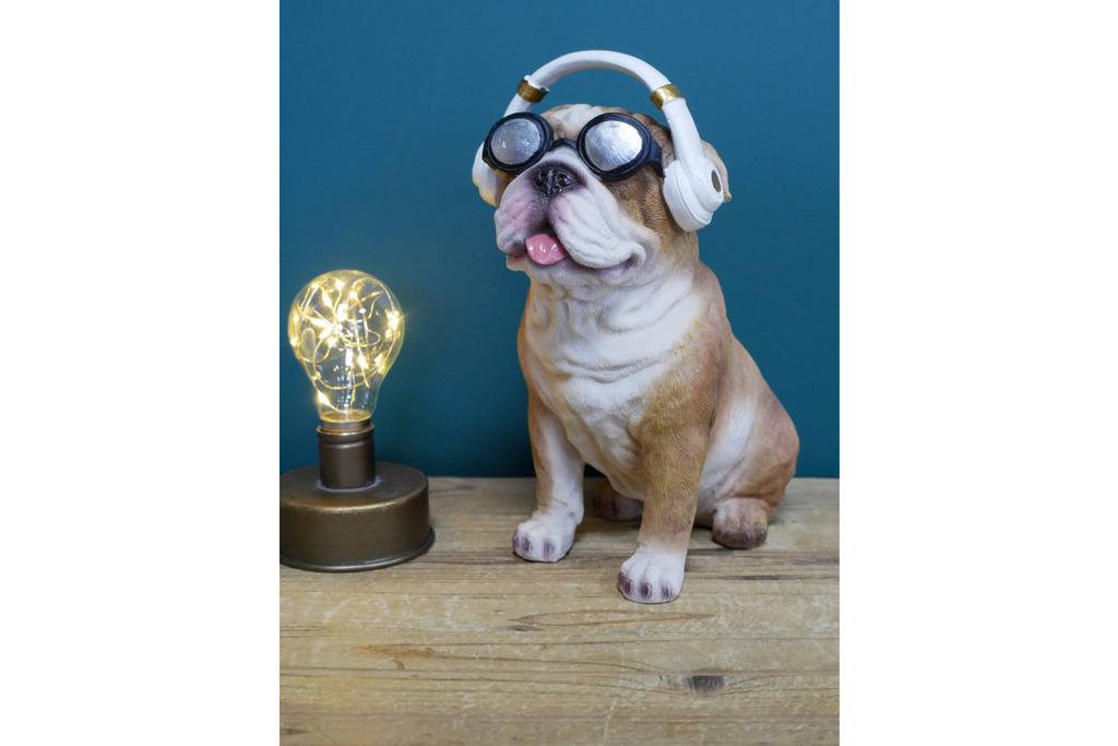 Dog With Headphones