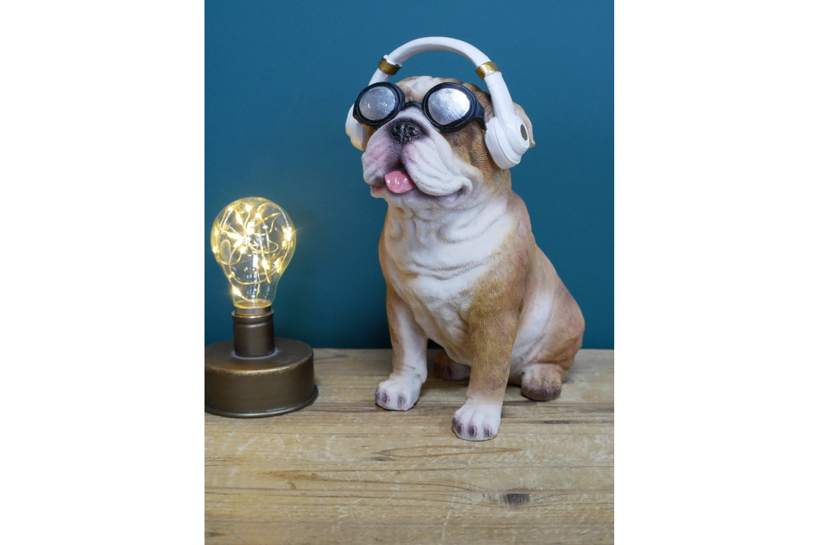 Dog With Headphones