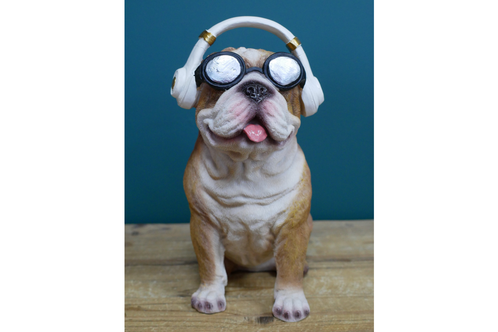 Dog With Headphones