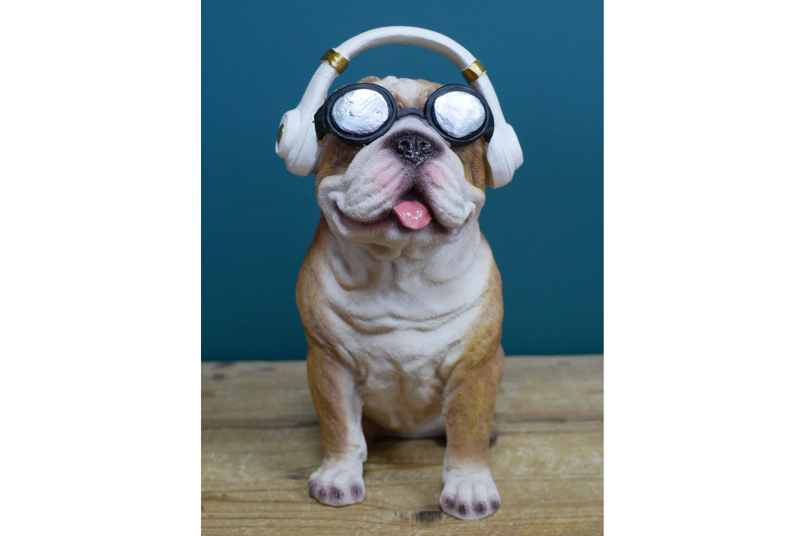 Dog With Headphones