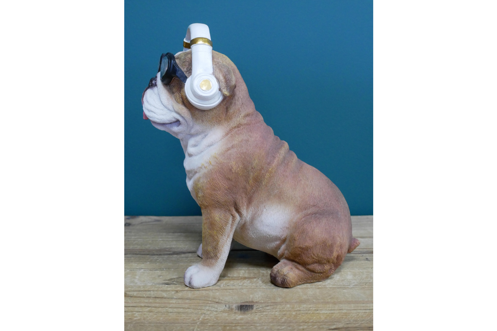 Dog With Headphones