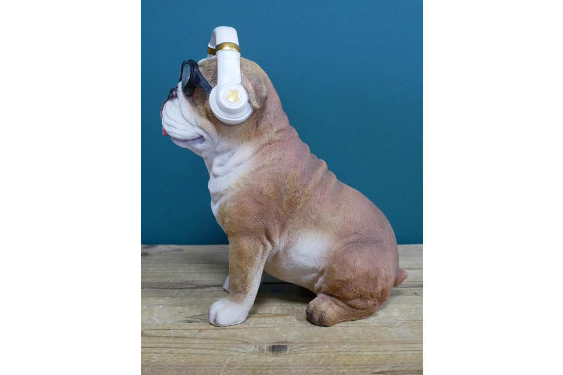 Dog With Headphones