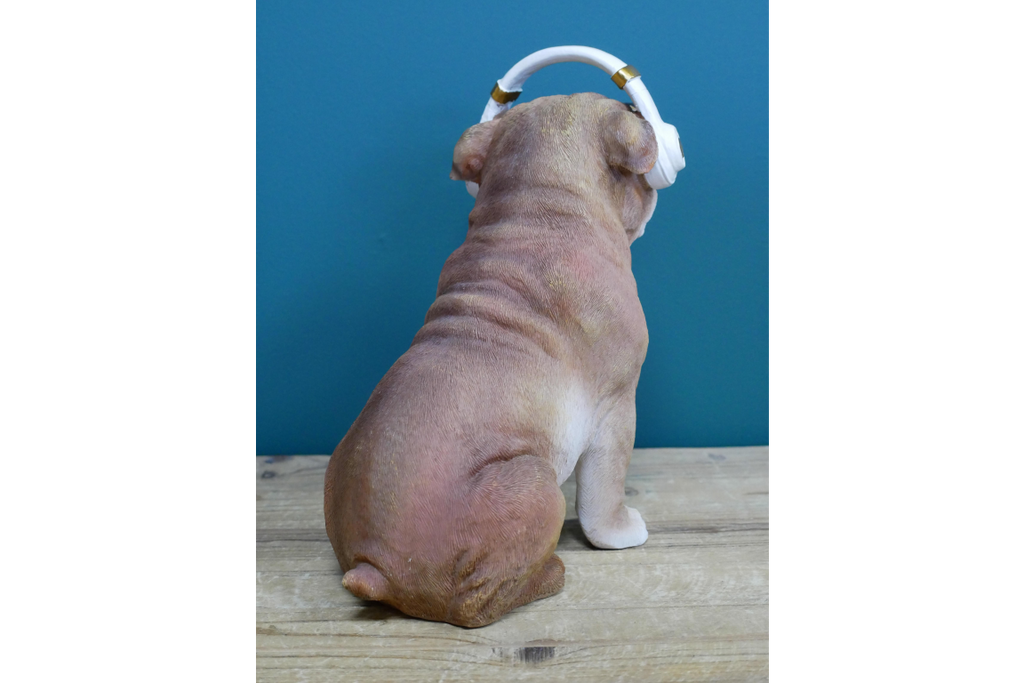Dog With Headphones