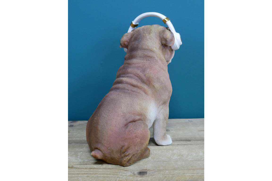 Dog With Headphones