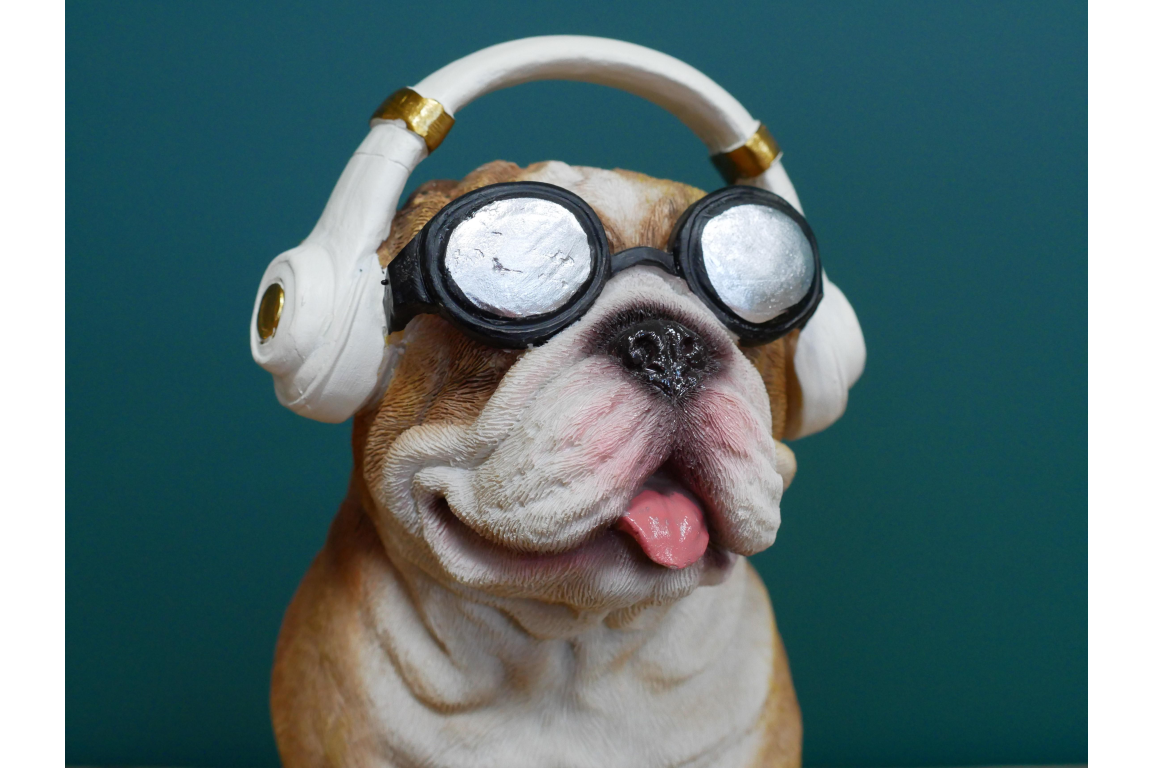 Dog With Headphones