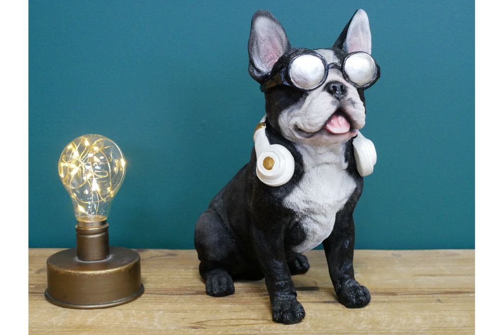 Dog With Headphones