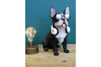 Dog With Headphones